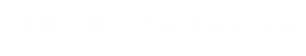 國(guó)翼電子